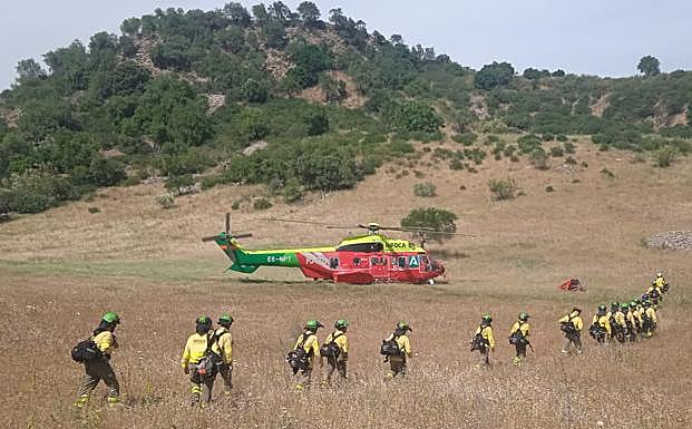 Infoca fights new forest fire in the Serranía de Ronda