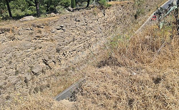 The location where the car crashed.