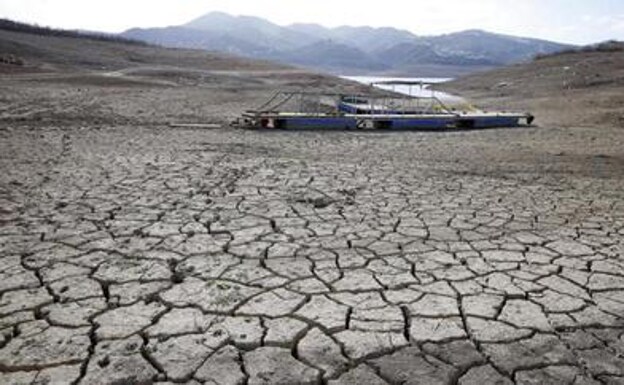 Junta de Andalucía calls for emergency drought measures from Madrid