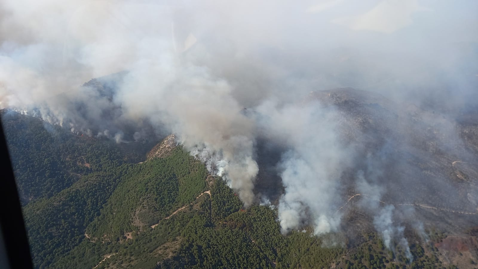 Photos: The Alhaurín el Grande fire, from the air | Sur in English