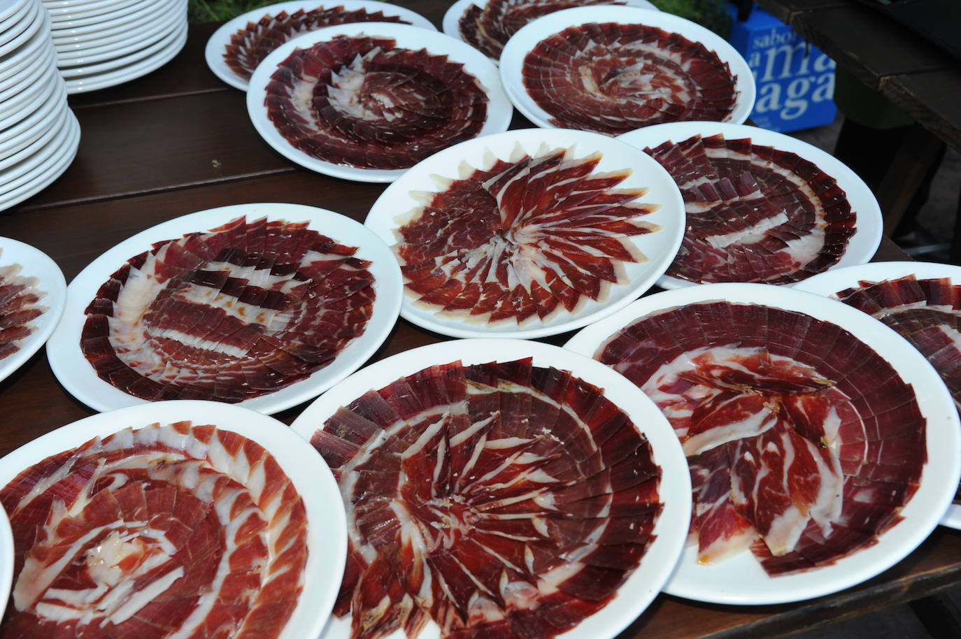 The gala dinner of the Asociación Española Contra el Cáncer de Marbella has returned in style, bringing together more than 500 people at Finca de La Concepción to support the work of this group that cares for patients suffering from this disease and their families