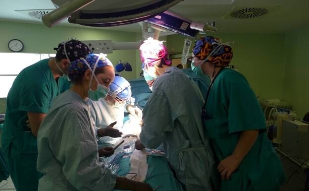Organ and tissue donations in Malaga province are higher than the Andalusian and national average