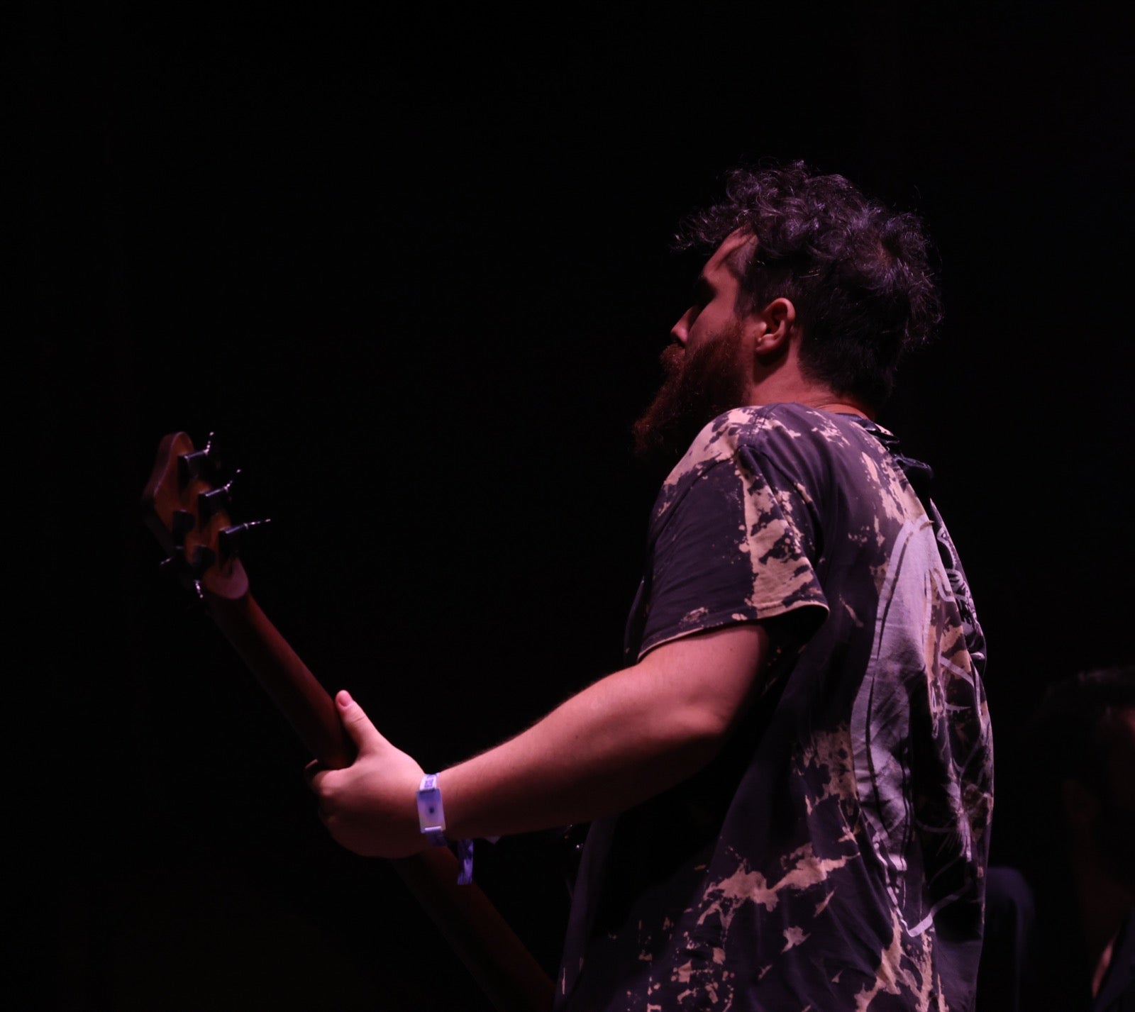 Viva Belgrado in Malaga