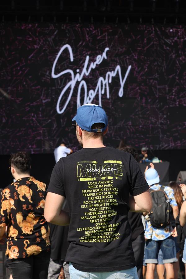 Silverpoppy on Saturday