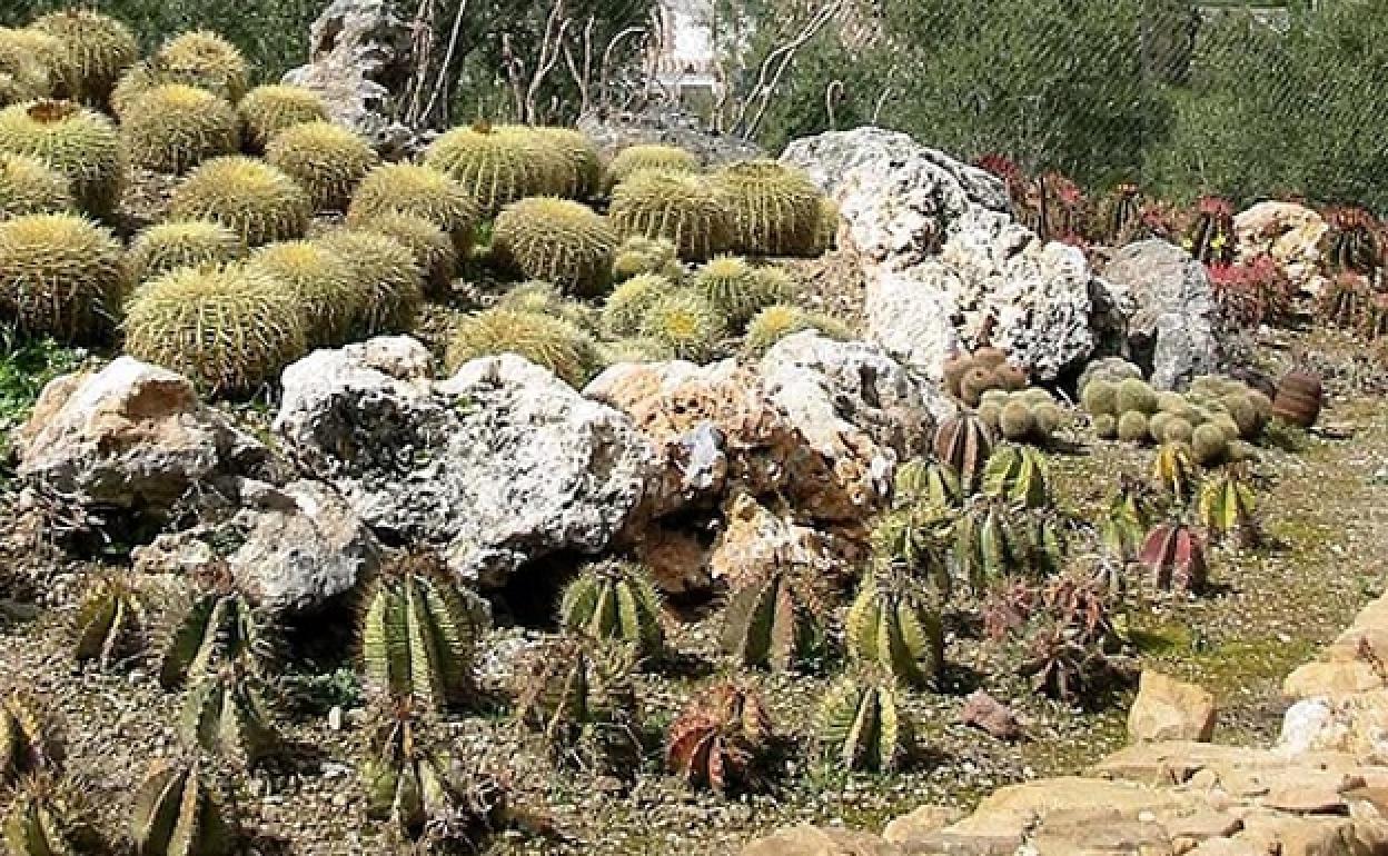 The botanical garden in Casarabonela offers 2,200 species of succulents and plants. 
