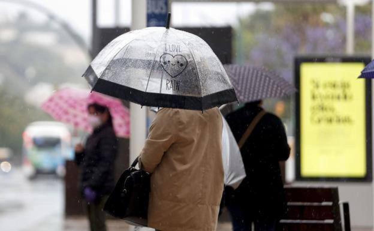 Umbrellas at the ready: rain may finally be on the way, say weather experts