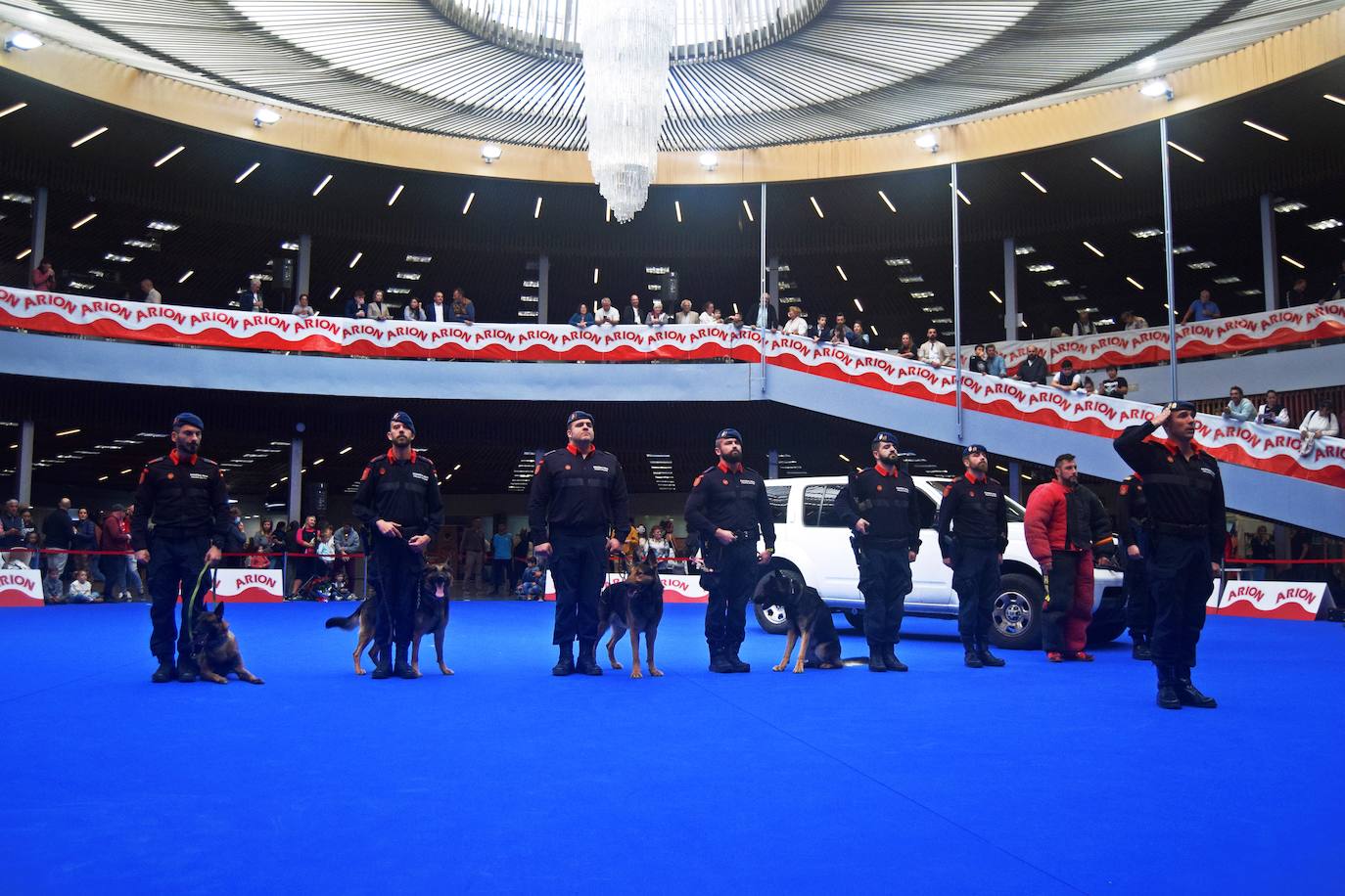 Expocan is one of the longest-running dog shows Andalucía and is organised by the Canine Society of the Costa del Sol