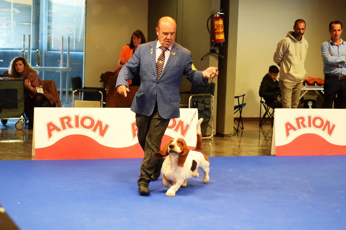 Expocan is one of the longest-running dog shows Andalucía and is organised by the Canine Society of the Costa del Sol