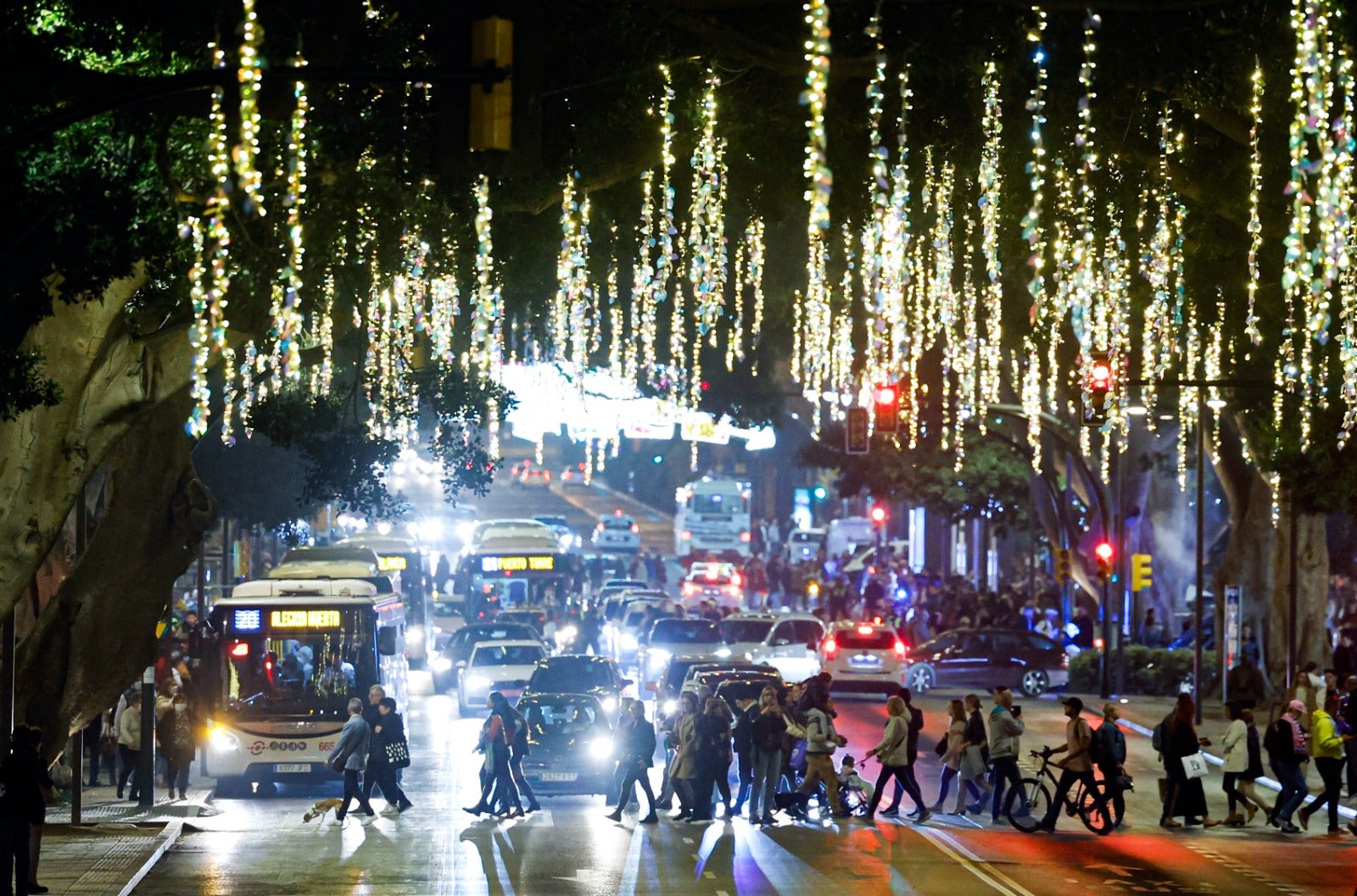 Christmas lights in Malaga city centre.