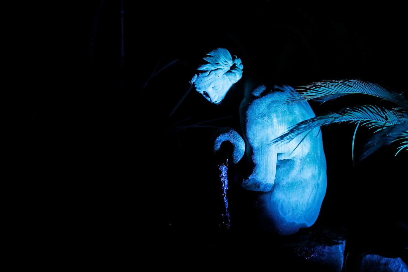 The Journey of the Star from the East, the new festive spectacular at Malaga's La Concepción botanical garden, can be visited until 8 January 2023.