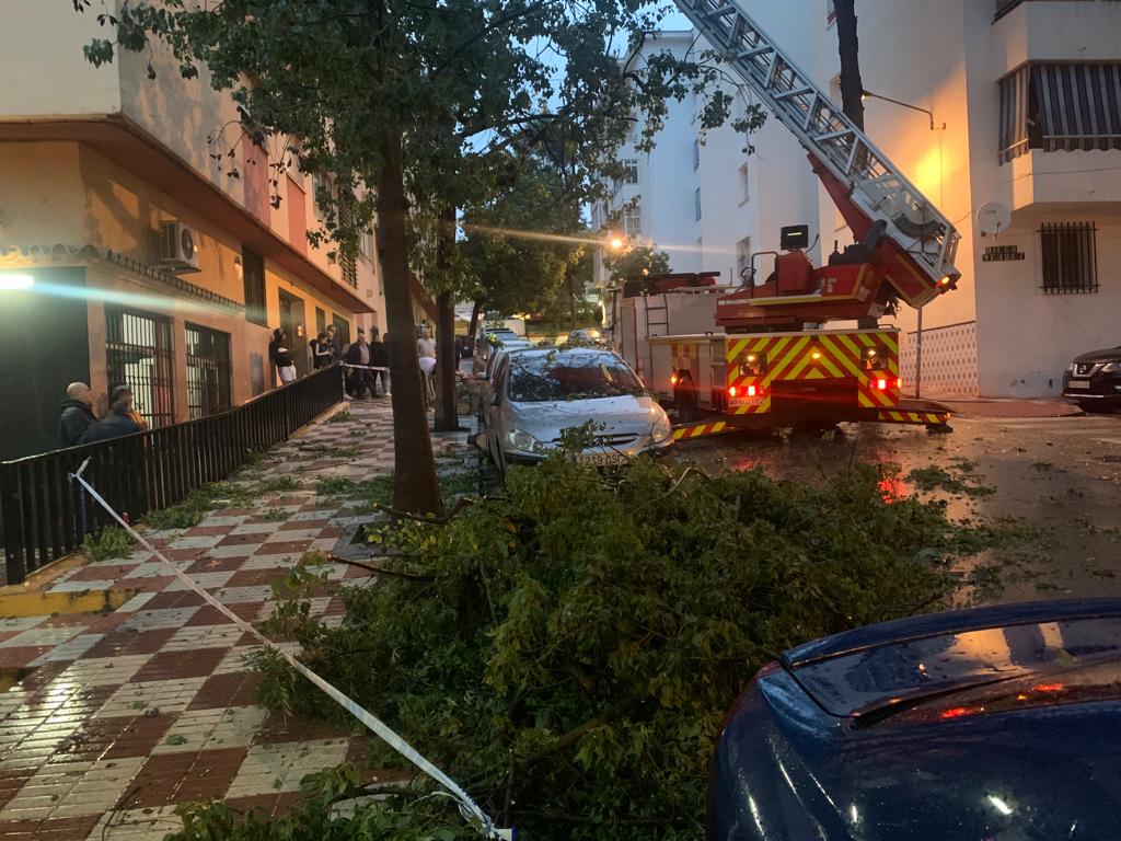 Some of the damage caused by the tornado this Monday afternoon in Marbella.