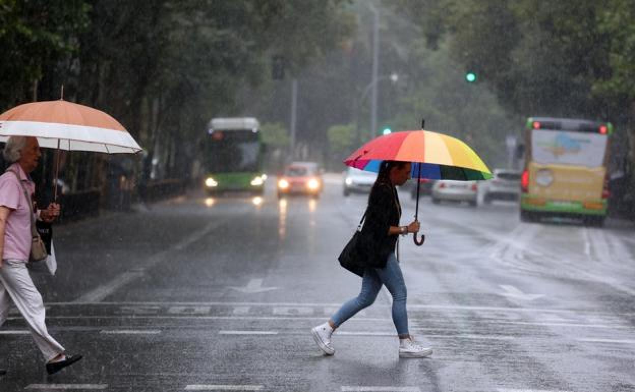 Heavy rain forecast for all Andalusian provinces on Thursday