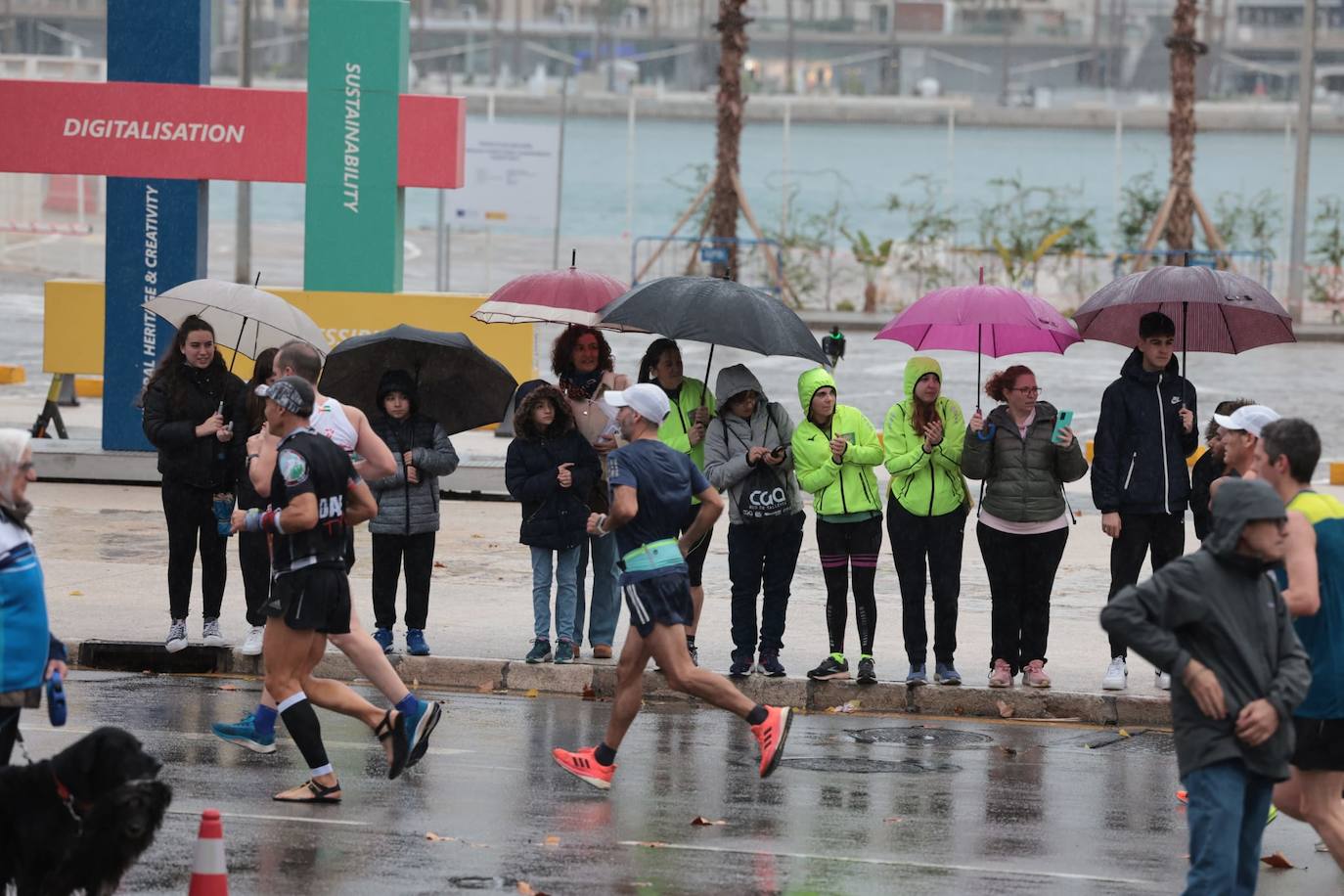 Runners in the Generali Malaga Marathon race on Sunday, 11 December 2022
