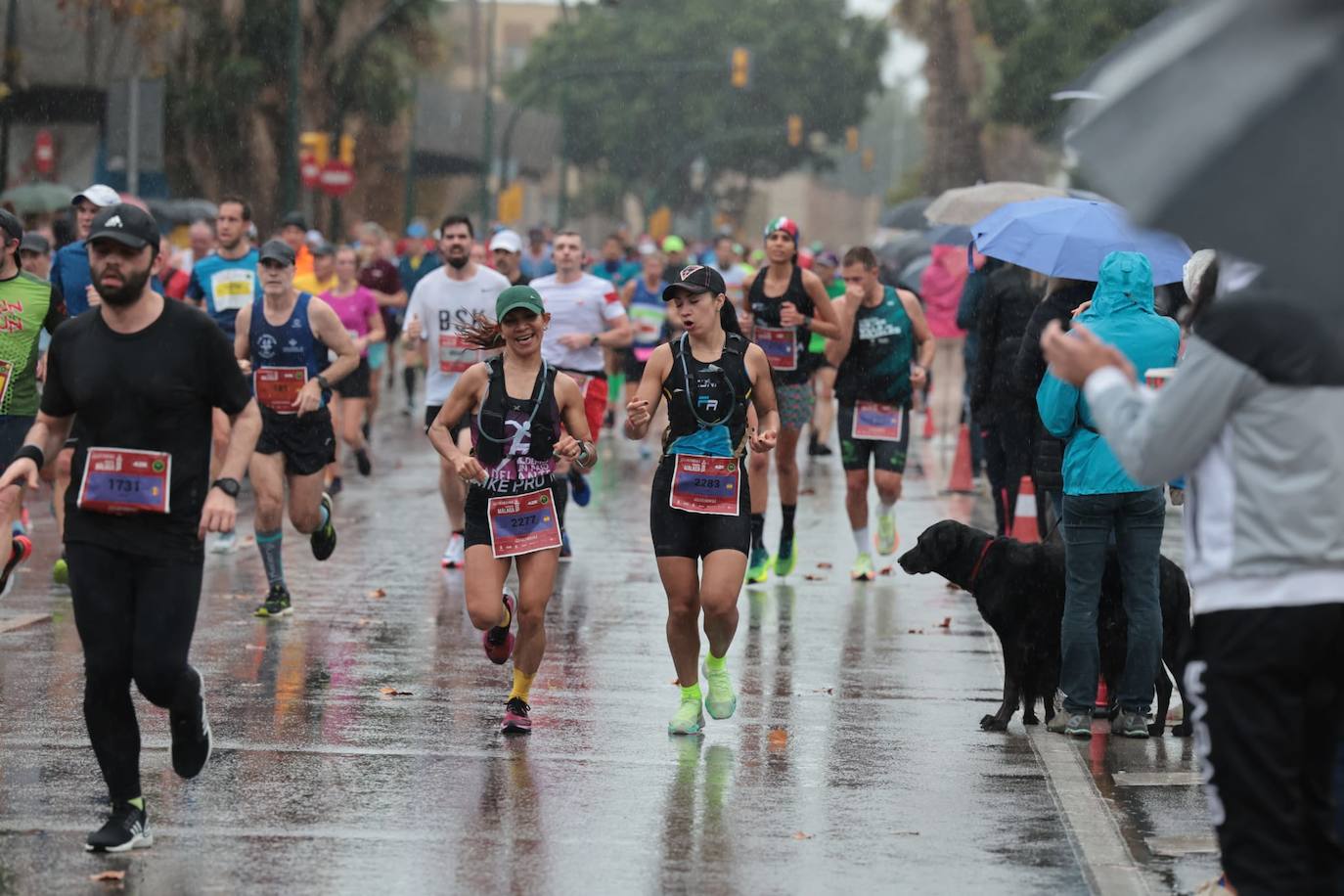 Runners in the Generali Malaga Marathon race on Sunday, 11 December 2022