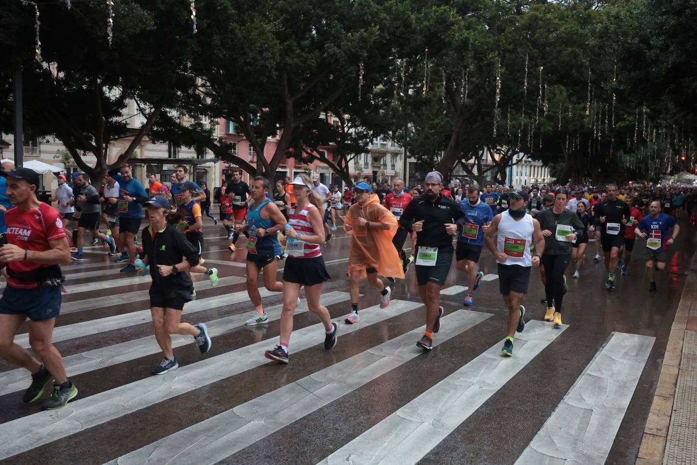 Runners in the Generali Malaga Marathon race on Sunday, 11 December 2022