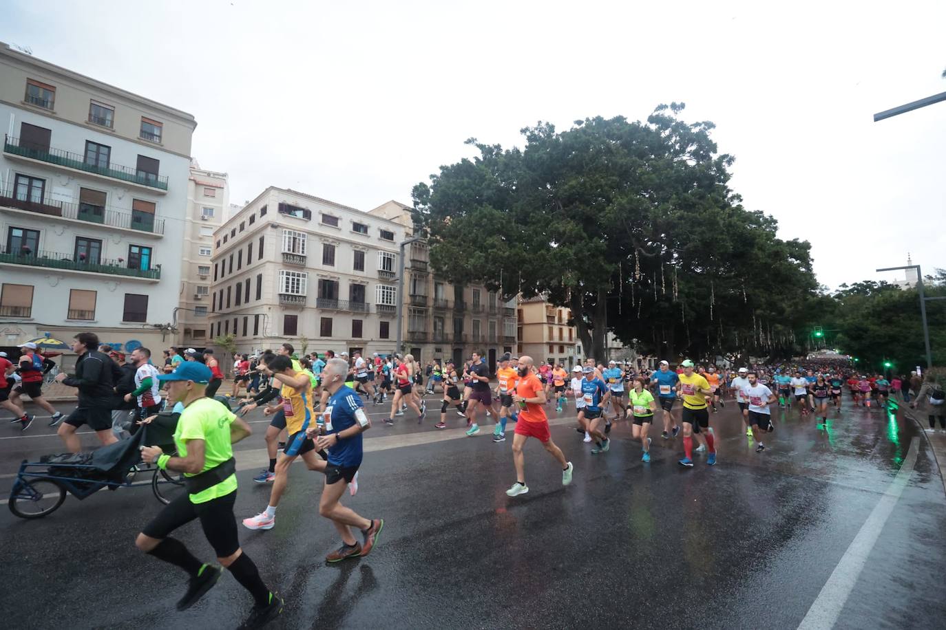 Runners in the Generali Malaga Marathon race on Sunday, 11 December 2022