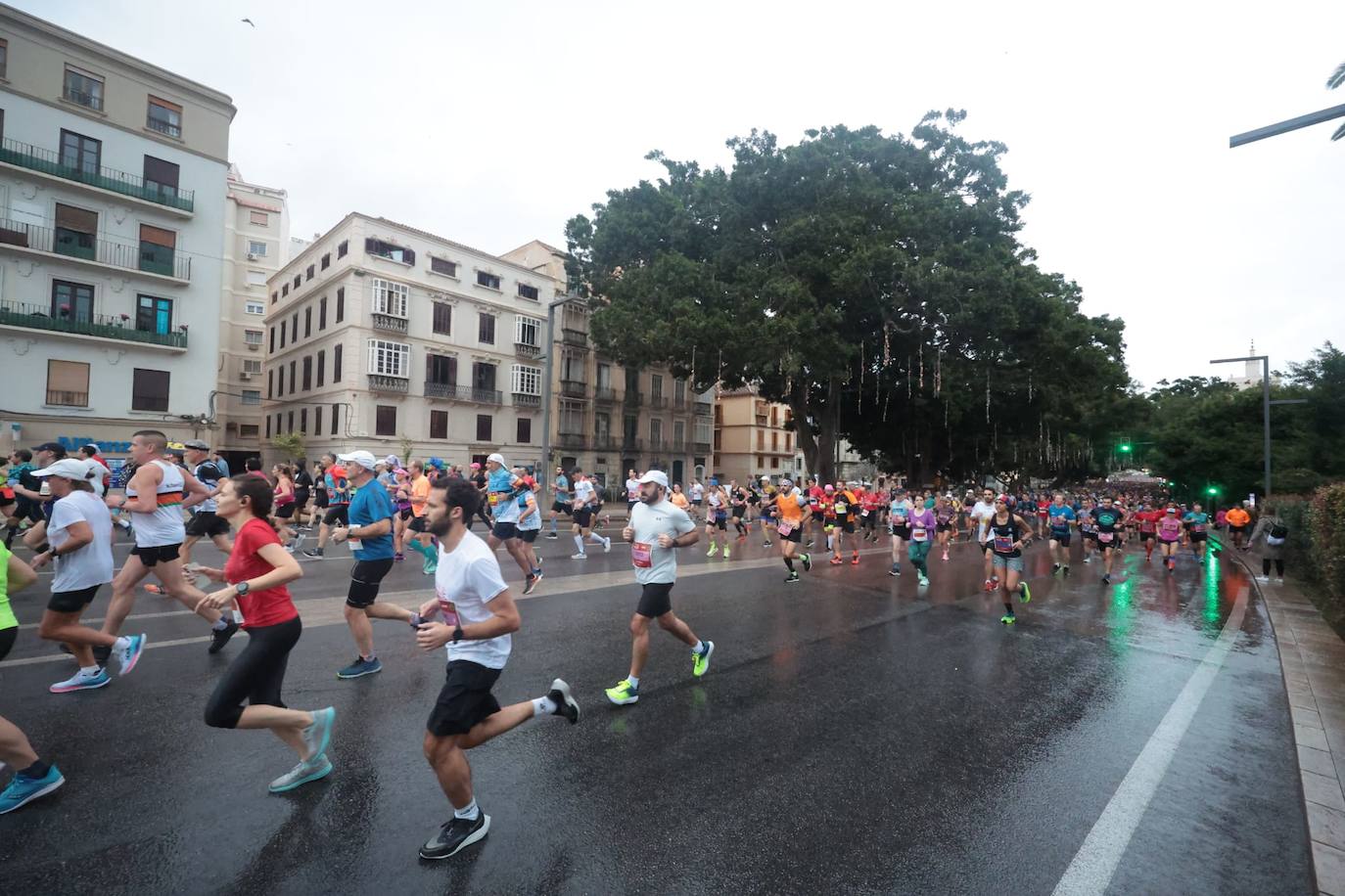 Runners in the Generali Malaga Marathon race on Sunday, 11 December 2022