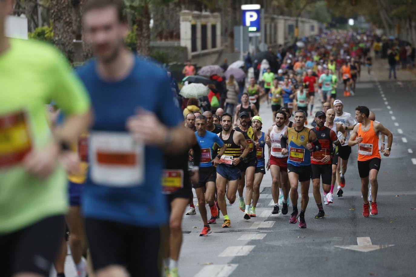 Runners in the Generali Malaga Marathon race on Sunday, 11 December 2022