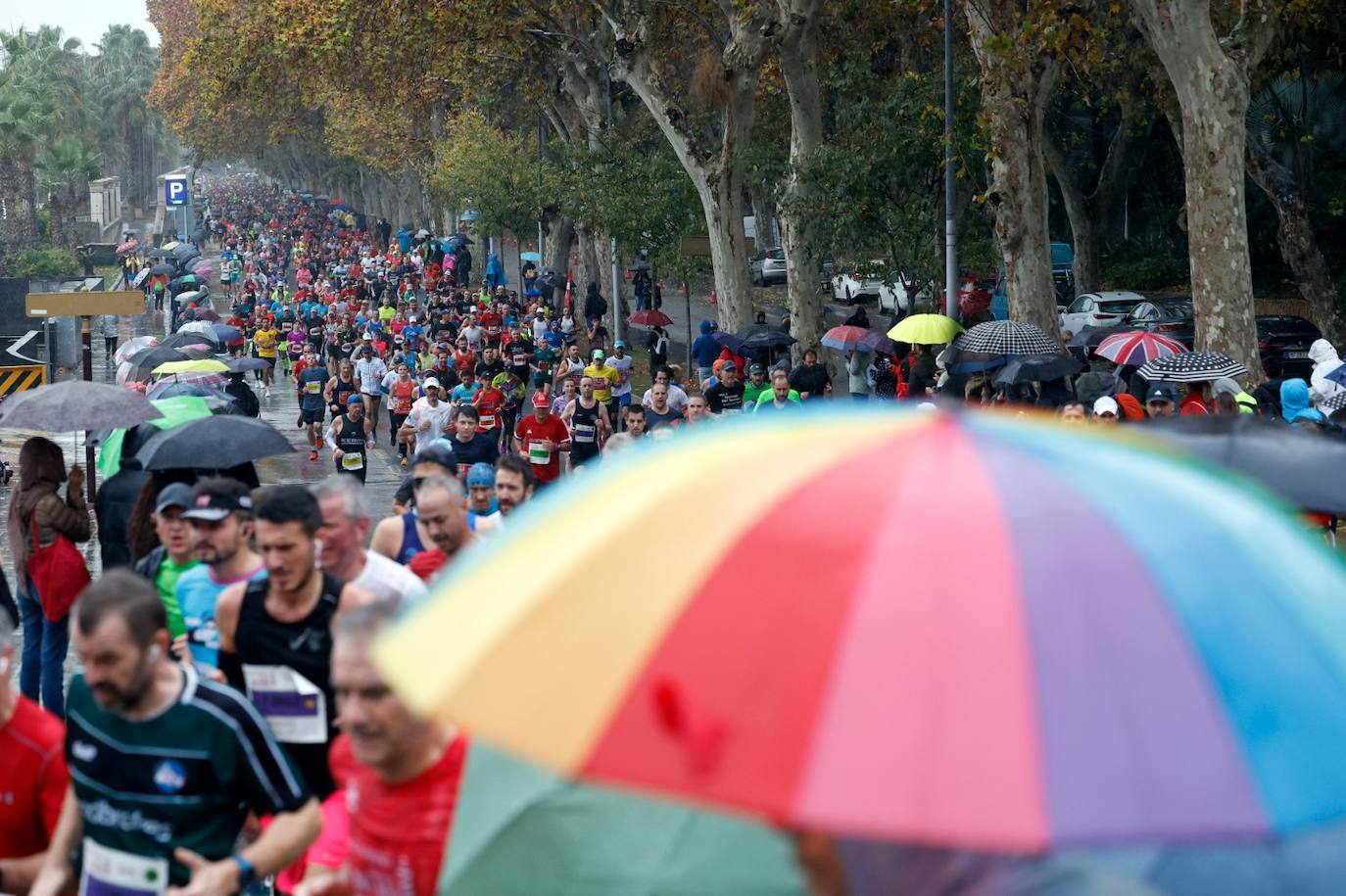 Runners in the Generali Malaga Marathon race on Sunday, 11 December 2022