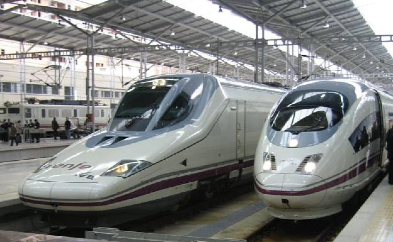 Big dogs weighing up to 40 kilos can now travel on some AVE high-speed trains between Madrid and Malaga