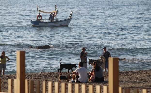 Owners and their pets relax on the Playa Castillo in Fuengirola. 