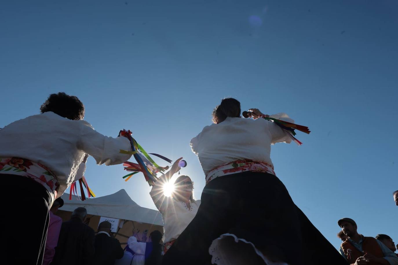 A total of 25 'pandas' (groups) participated