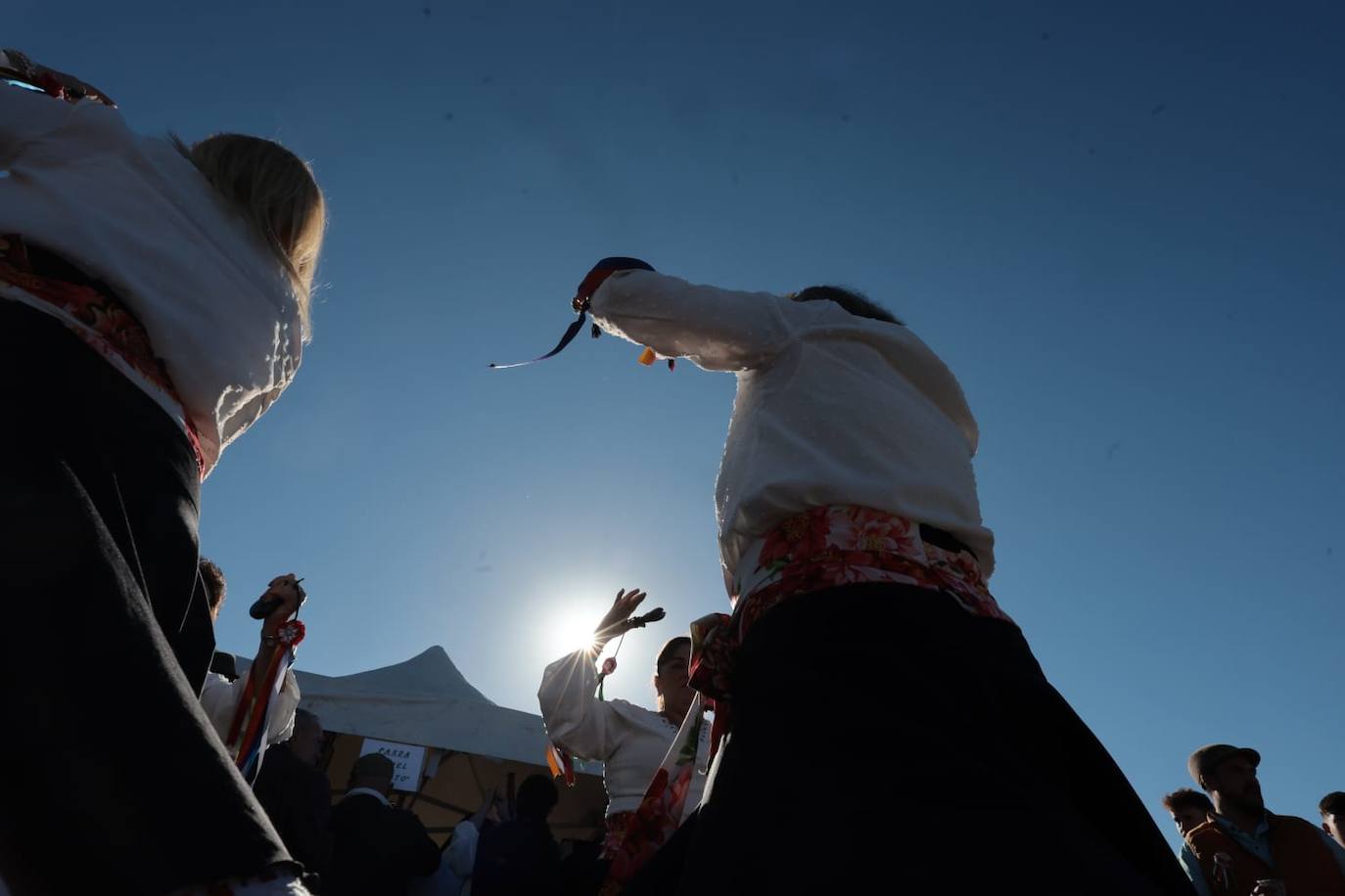 A total of 25 'pandas' (groups) participated 