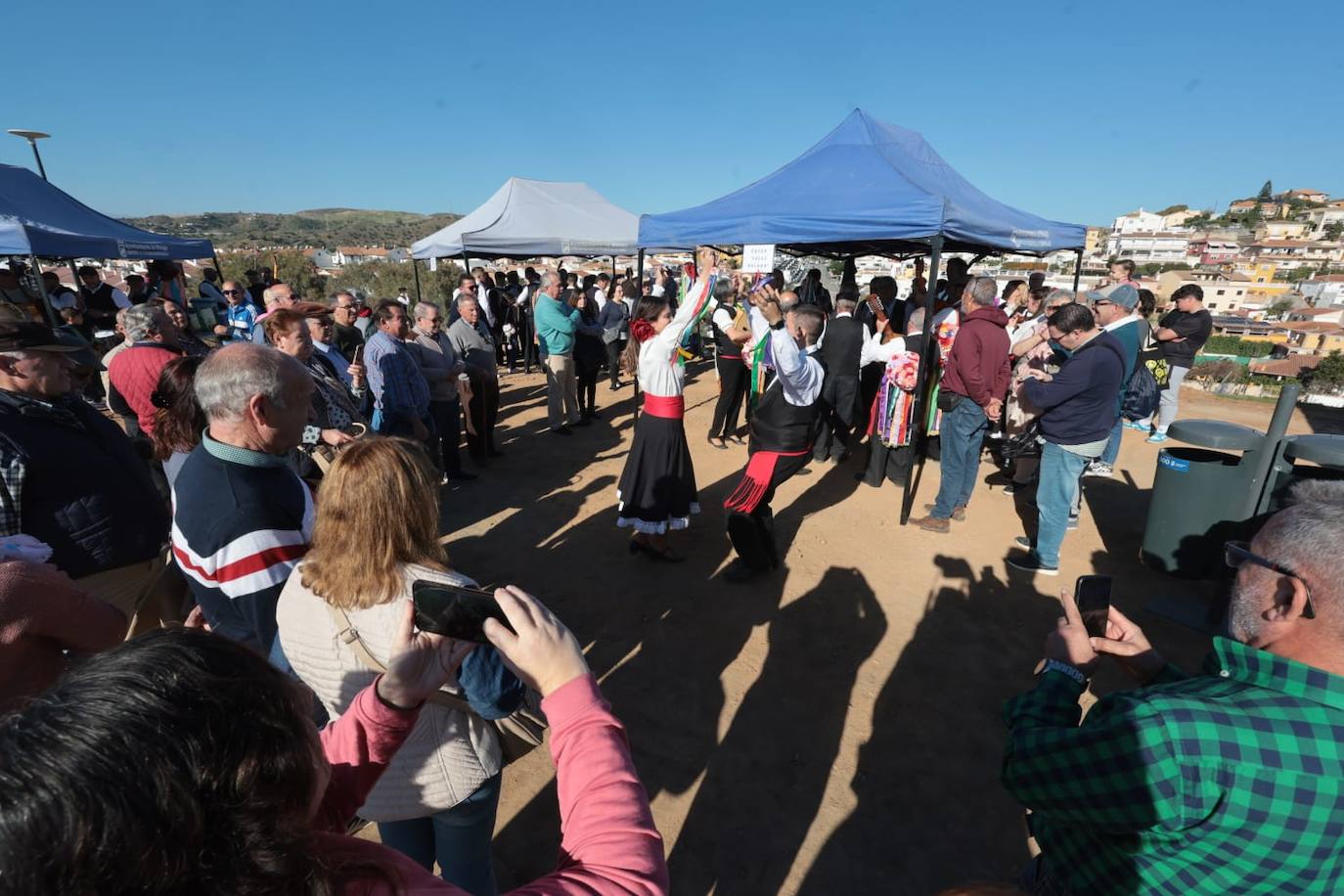 A total of 25 'pandas' (groups) participated 