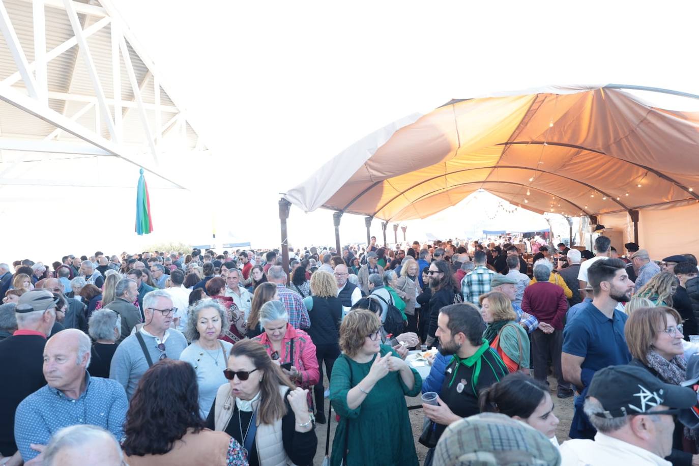 A total of 25 'pandas' (groups) participated