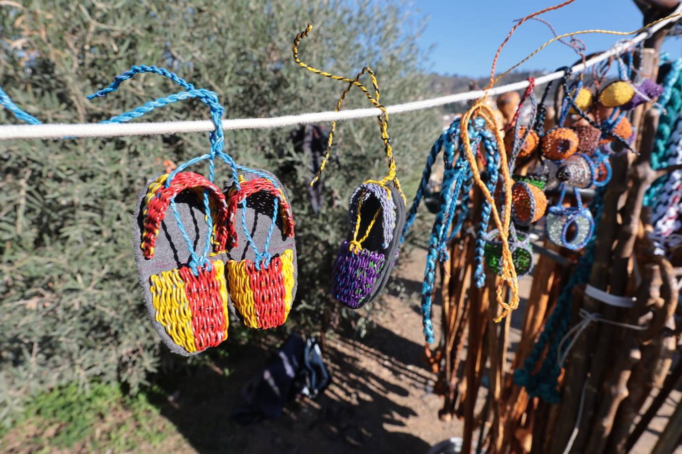A total of 25 'pandas' (groups) participated 