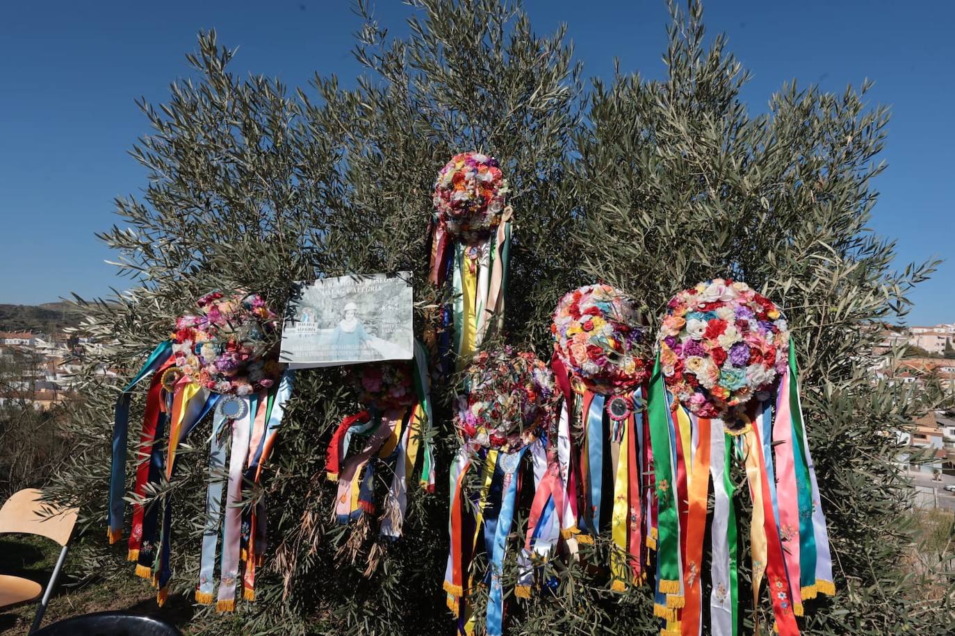 A total of 25 'pandas' (groups) participated 