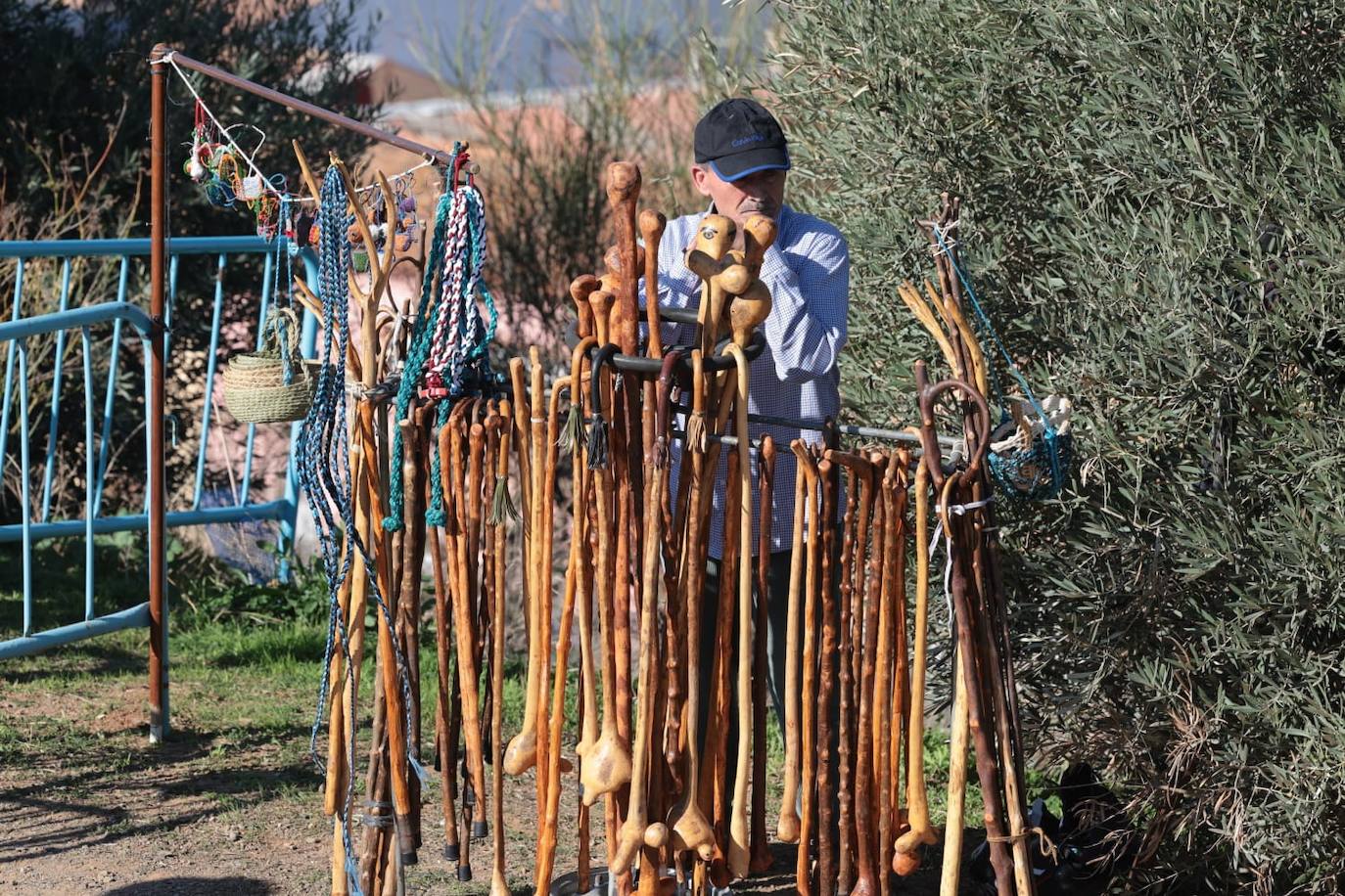 A total of 25 'pandas' (groups) participated 