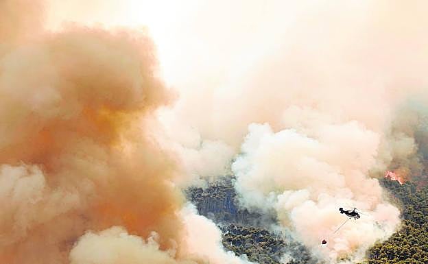 The fire that affected Alhaurín el Grande and Mijas, burned for 20 days in July. 