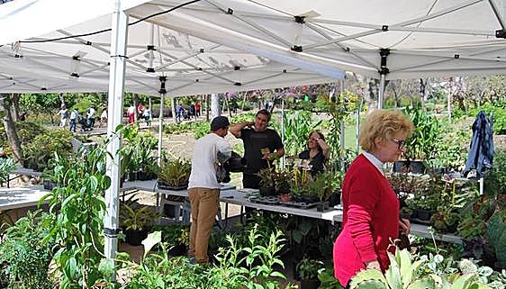 Rare plant fair returns to Benalmádena's La Paloma park this Easter