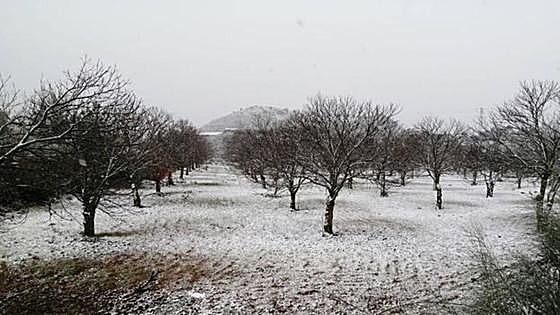 Aemet activates warning for snowfall in parts of Malaga province on Saturday