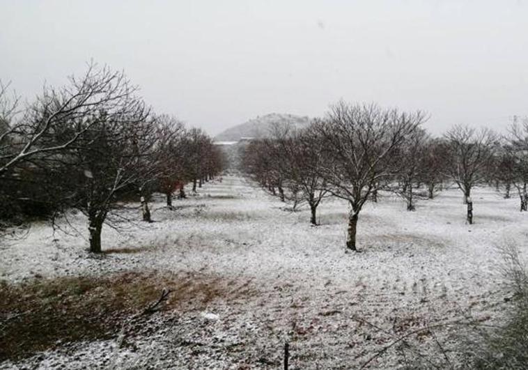 Aemet activates warning for snowfall in parts of Malaga province on Saturday