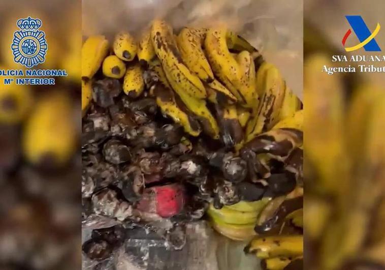 More than 600 kilos of cocaine found hidden among bananas at Malaga Port