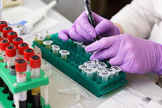 'Mothers' and 'daughters' in Spanish science