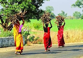 Women carrying firewood on their heads.