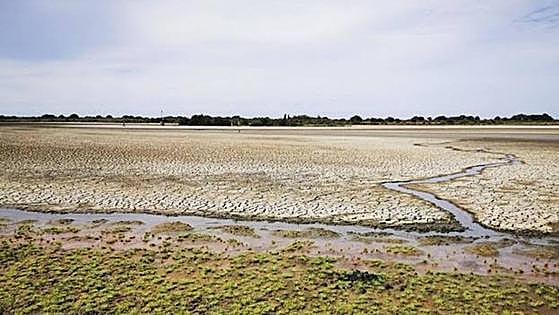 EU warns again over plan to allow irrigation around Doñana wetlands