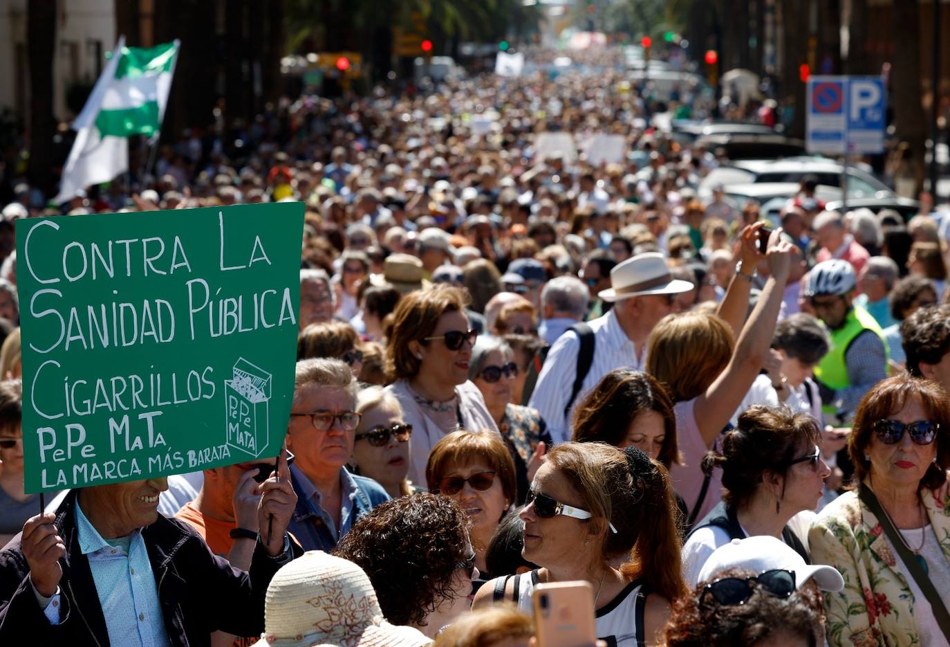 Public health protest rally in Malaga, in pictures