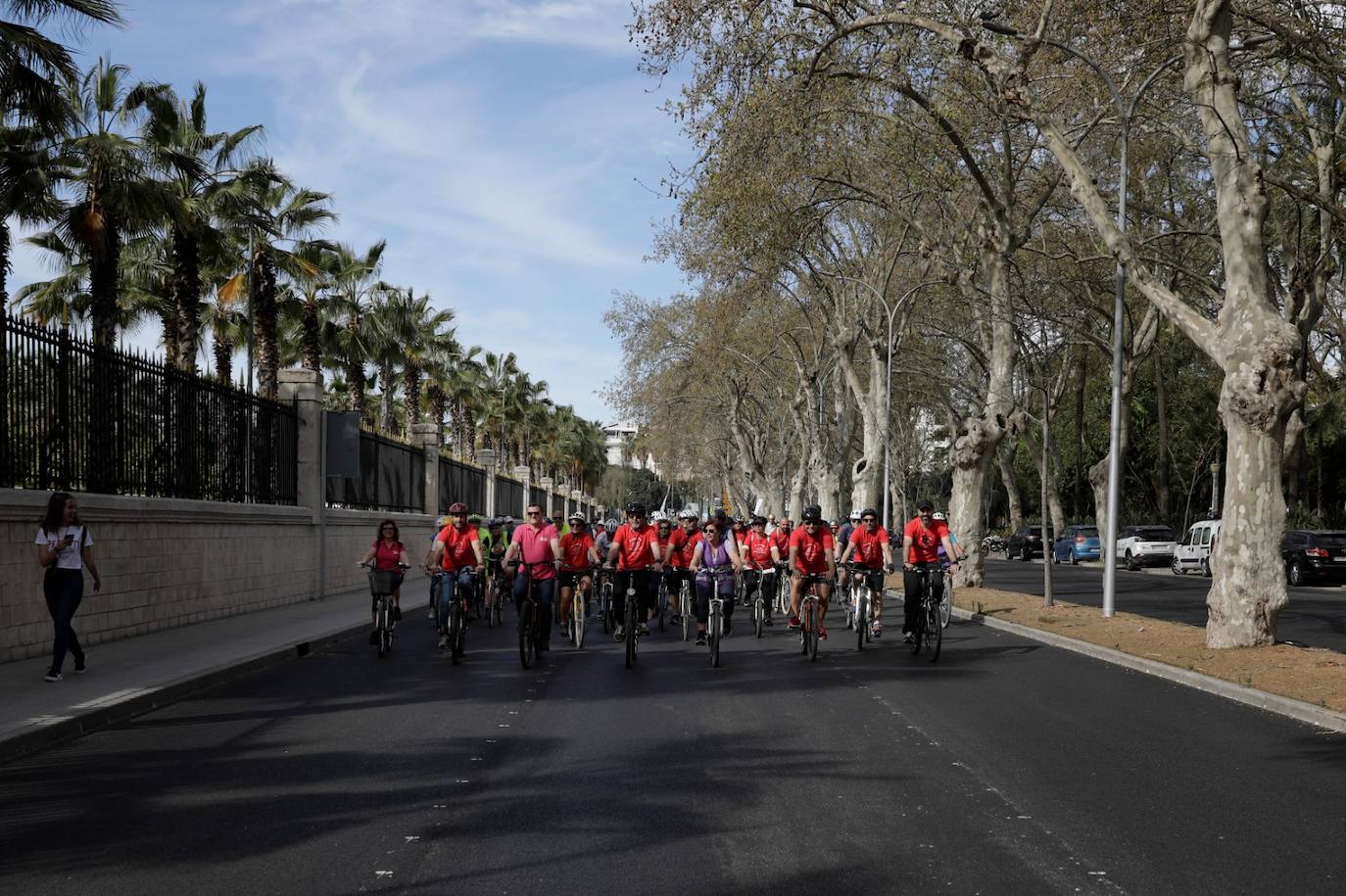 Photo gallery: demonstration to demand more cycle lanes in Malaga