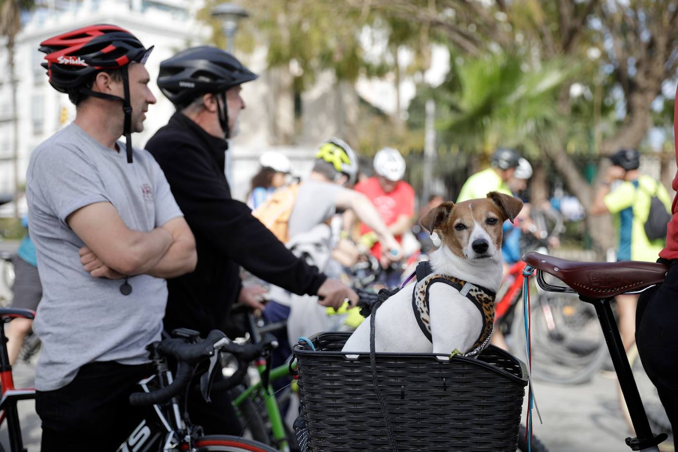 Photo gallery: demonstration to demand more cycle lanes in Malaga