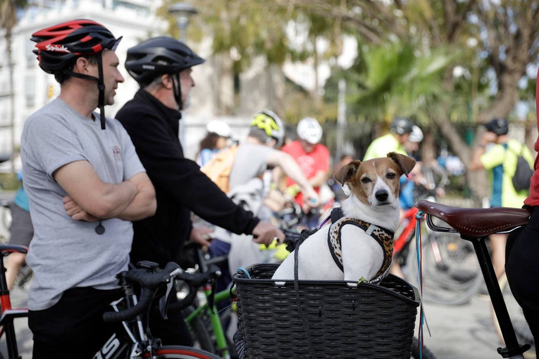 Photo gallery: demonstration to demand more cycle lanes in Malaga