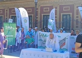 Striking members of the SMA medical union in Seville.