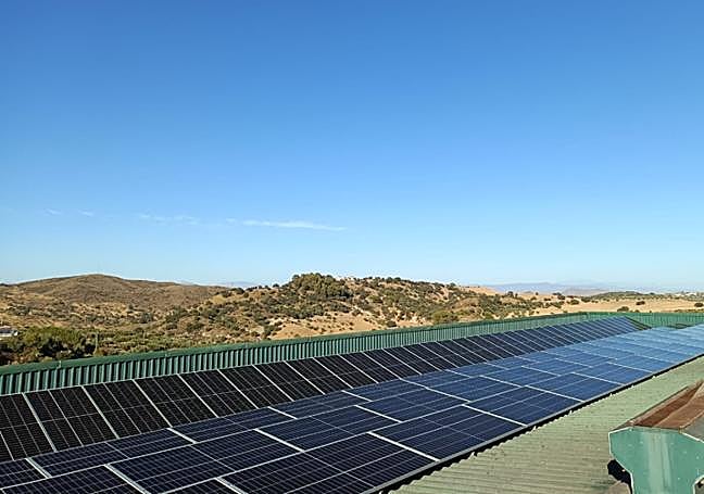 The Bakery will be entirely covered with solar panels.