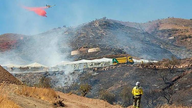 Infoca adds more resources to fight wild fires in Andalucía this summer
