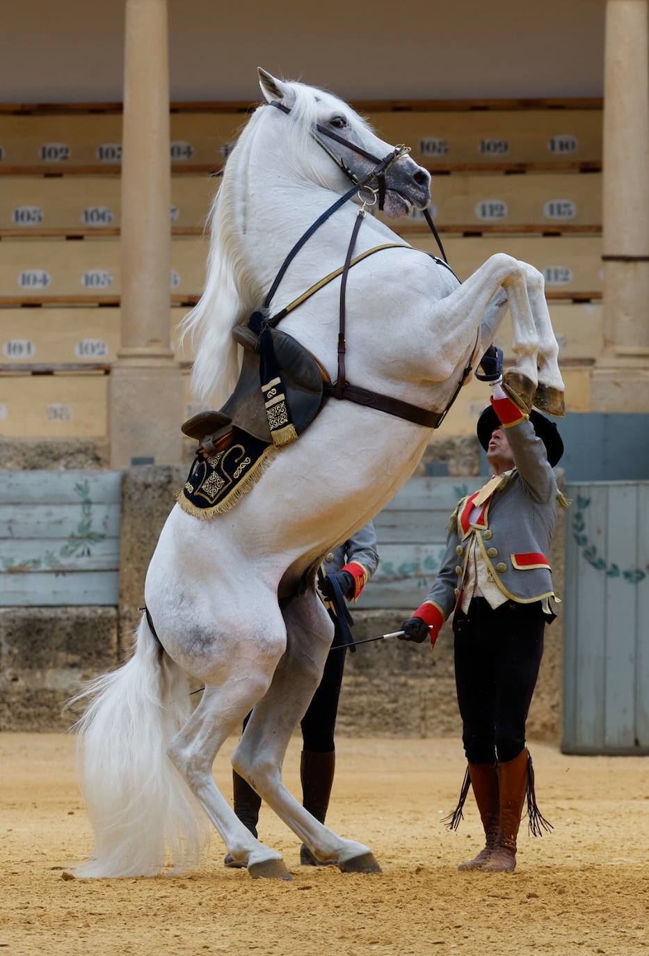 Photo special: King Felipe VI makes his first visit to Ronda