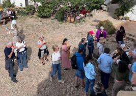 Participants learned about olive farming techniques.