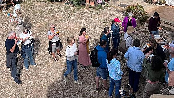 Learning about the Axarquía's 'liquid gold' in English